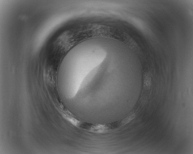 X0000081370431200701111553