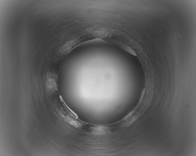 X0000081370432200701111553