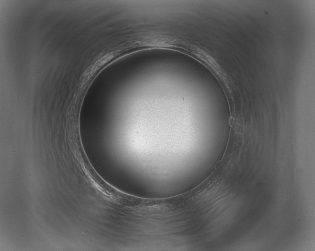 X0000081370433200701111552