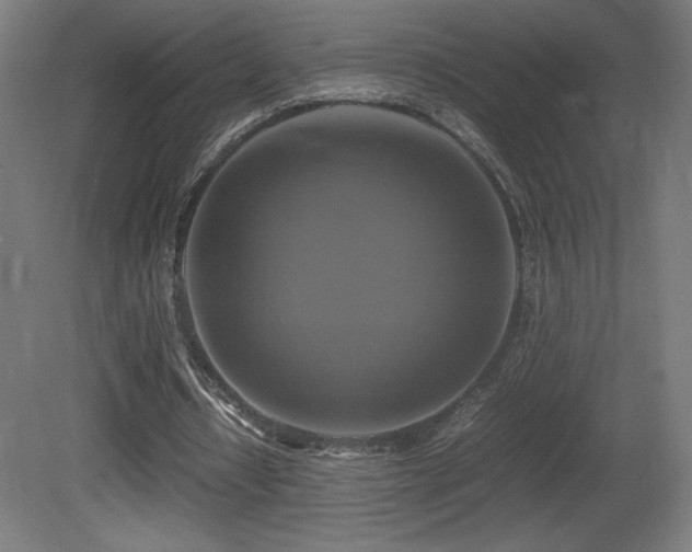 X0000081370434200701111552