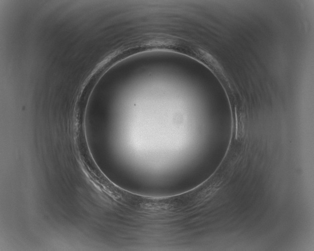 X0000081370435200701111552