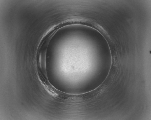 X0000081370436200701111552