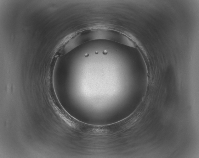 X0000081370437200701111552