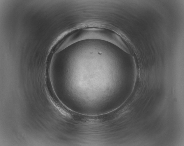 X0000081370438200701111552