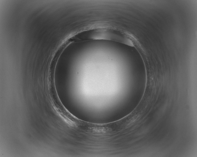 X0000081370439200701111552