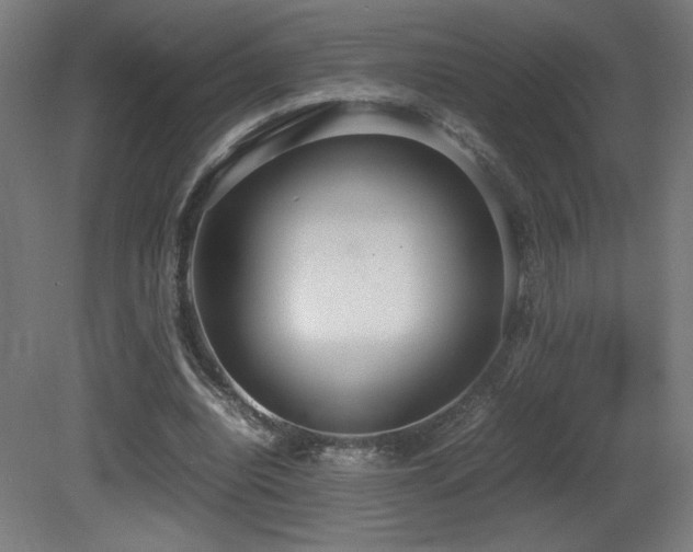 X0000081370440200701111552