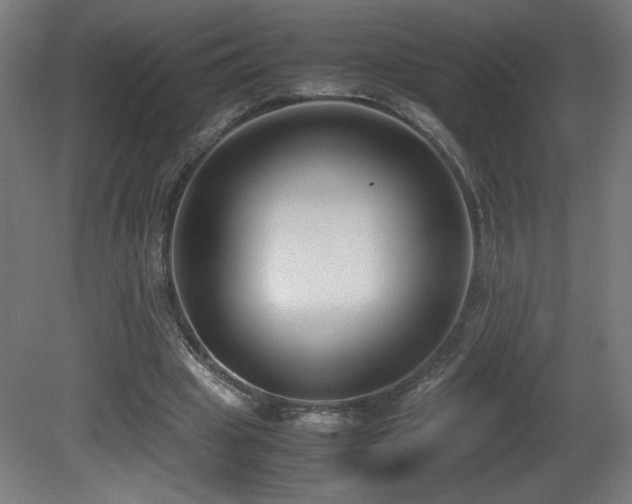 X0000081370441200701111552