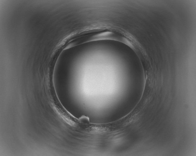 X0000081370442200701111552