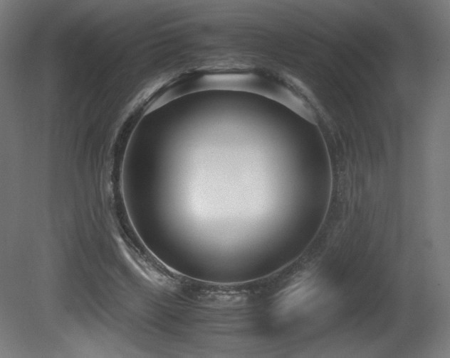 X0000081370443200701111552