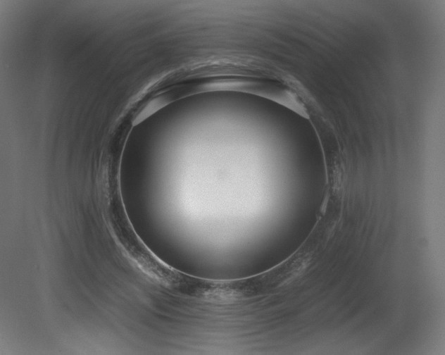 X0000081370444200701111552