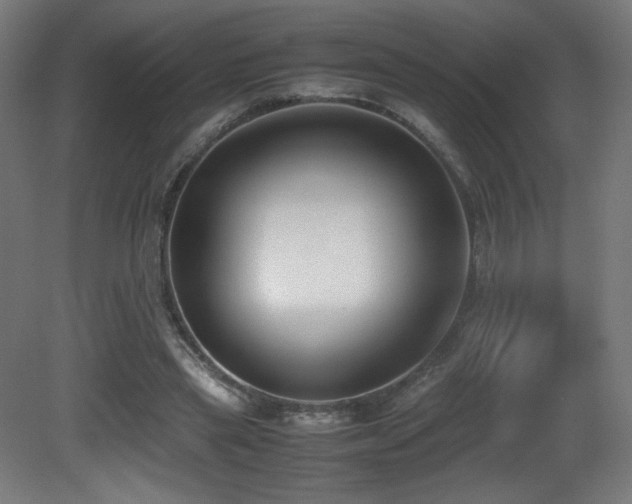 X0000081370445200701111552