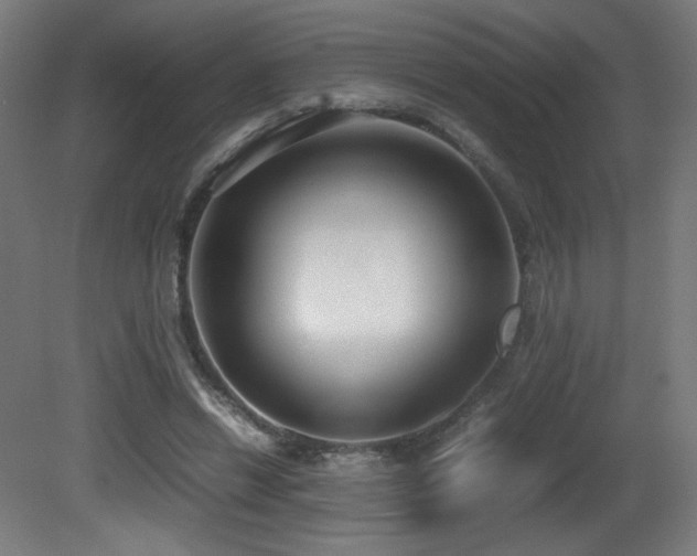 X0000081370446200701111552