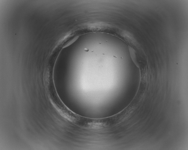X0000081370448200701111552