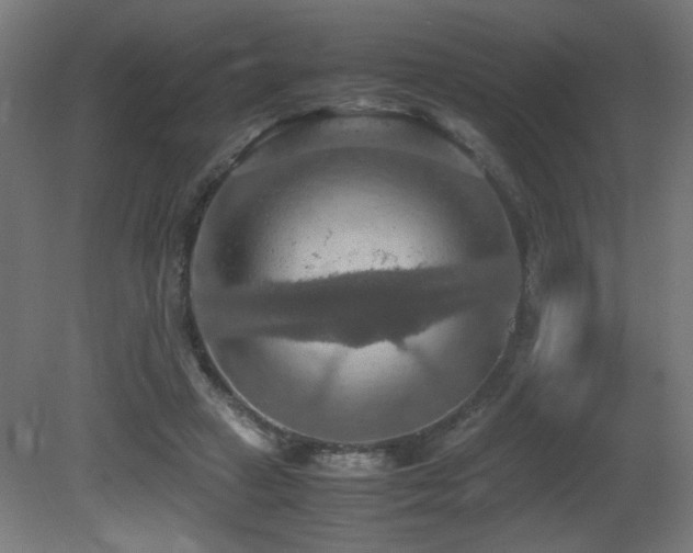 X0000081370449200701111552