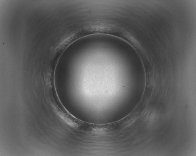 X0000081370450200701111552