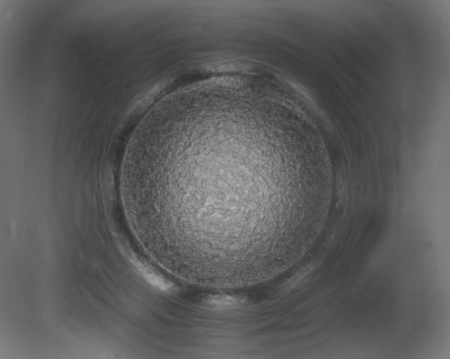 X0000081370453200701111552