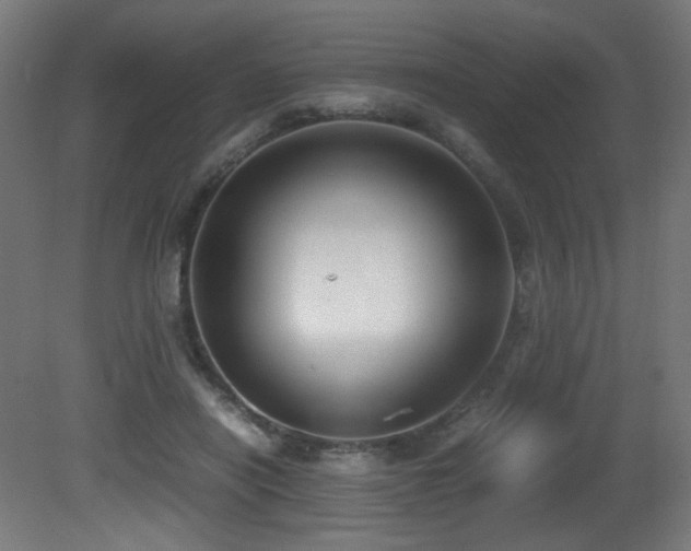 X0000081370454200701111552
