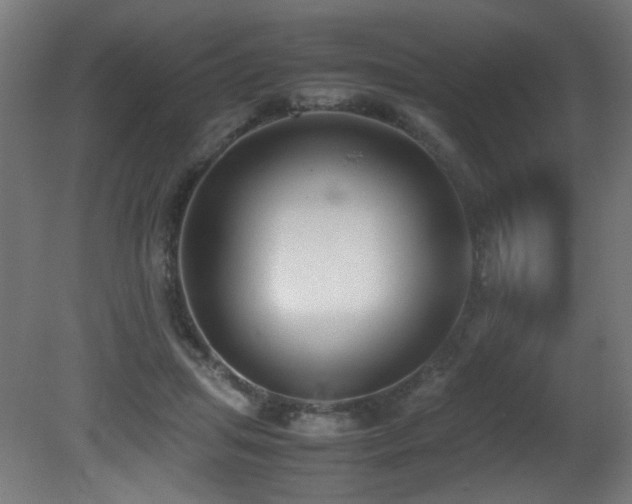 X0000081370455200701111552