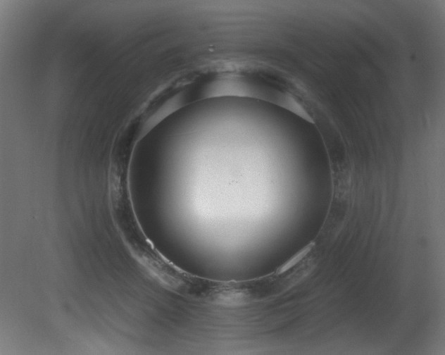 X0000081370456200701111552