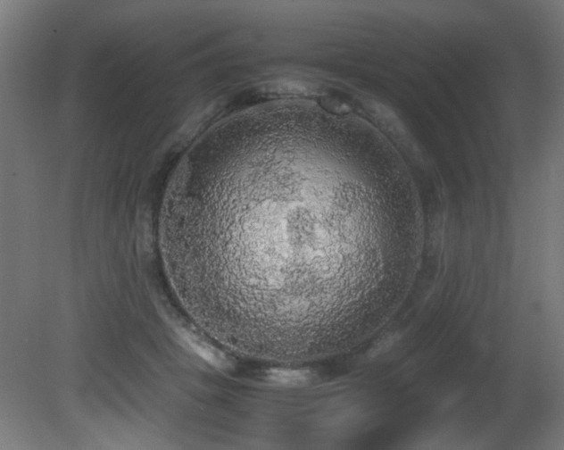 X0000081370457200701111552
