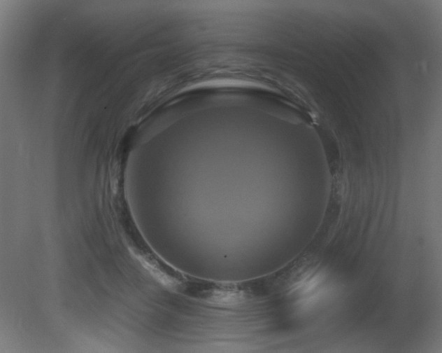 X0000081370458200701111552