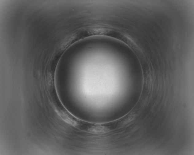 X0000081370459200701111552