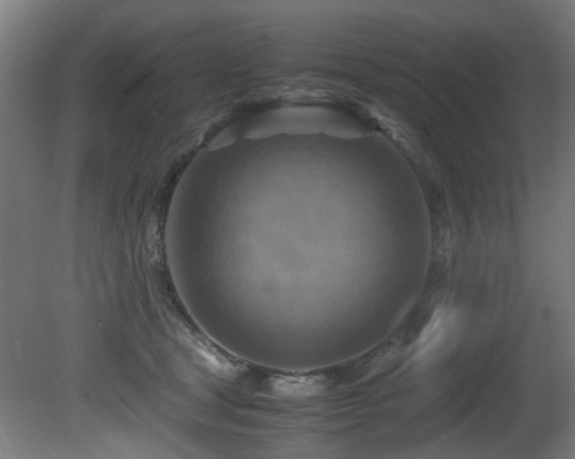 X0000081370465200701111552