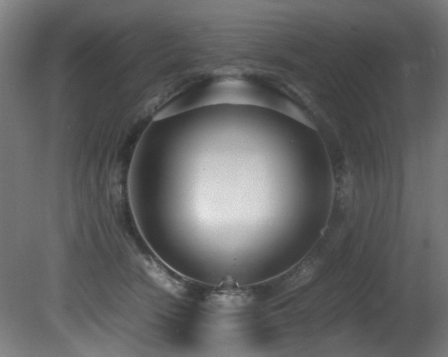 X0000081370466200701111552