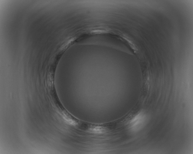 X0000081370467200701111552