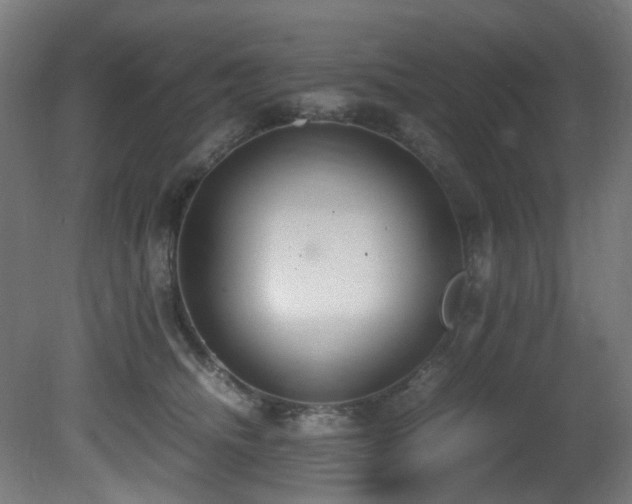 X0000081370468200701111552