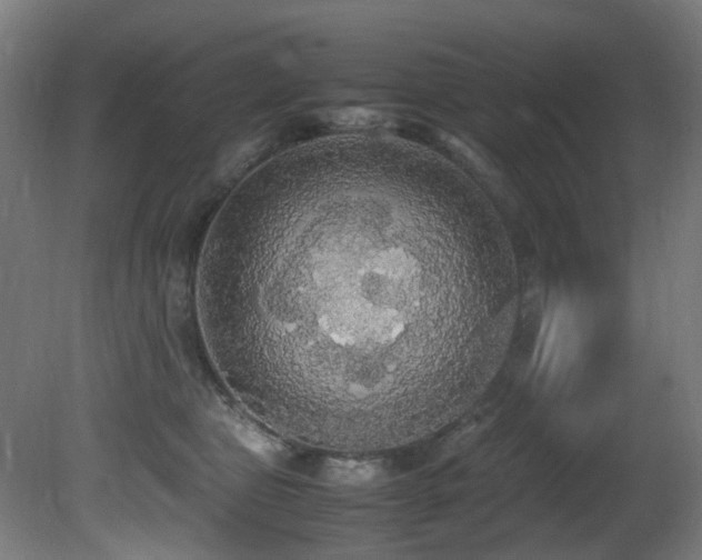 X0000081370469200701111552