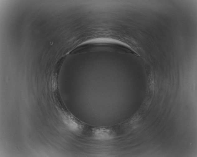 X0000081370471200701111552