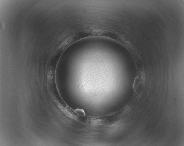 X0000081370472200701111552