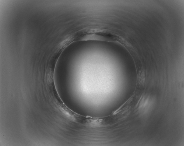 X0000081370474200701111552