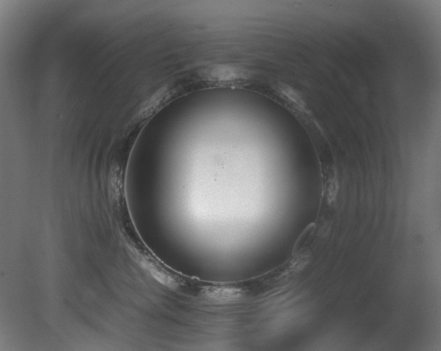 X0000081370476200701111553