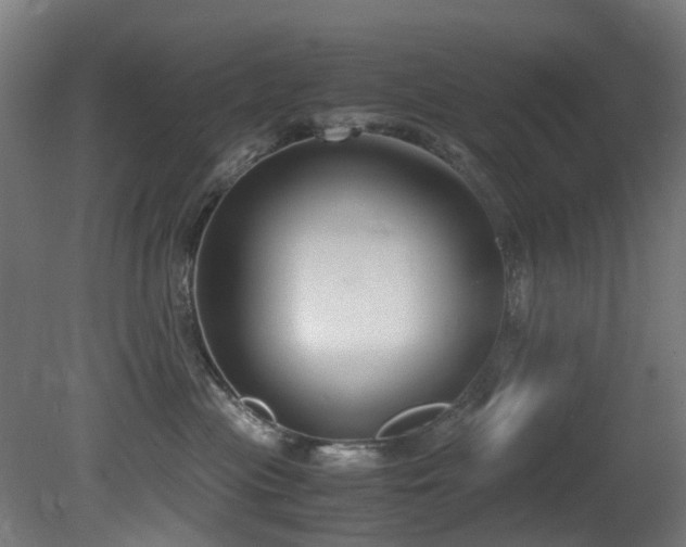 X0000081370477200701111553