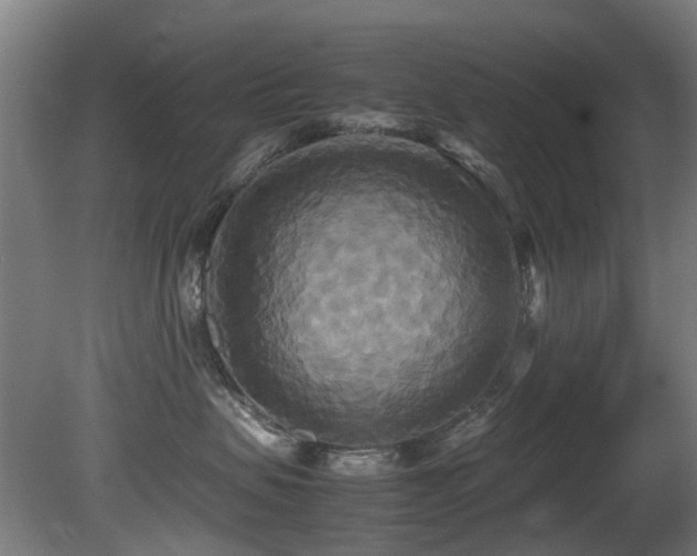 X0000081370479200701111553