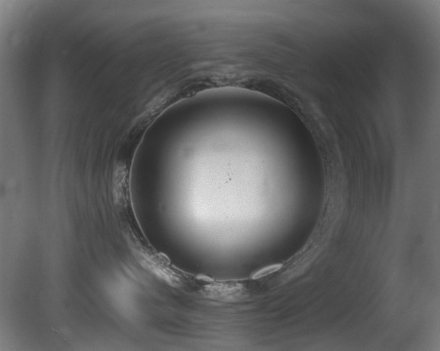 X0000081370480200701111553