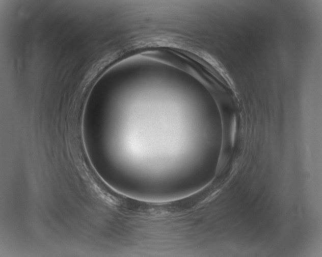 X0000081370481200701111552