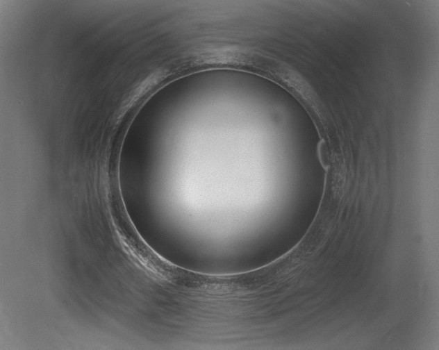 X0000081370482200701111552