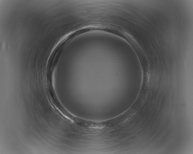 X0000081370484200701111552