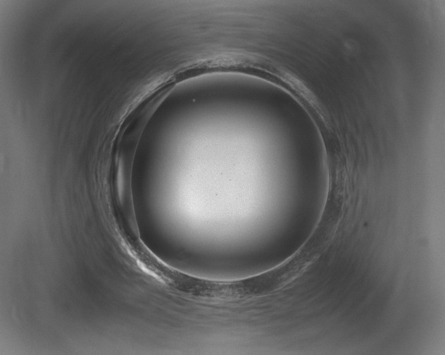 X0000081370485200701111552