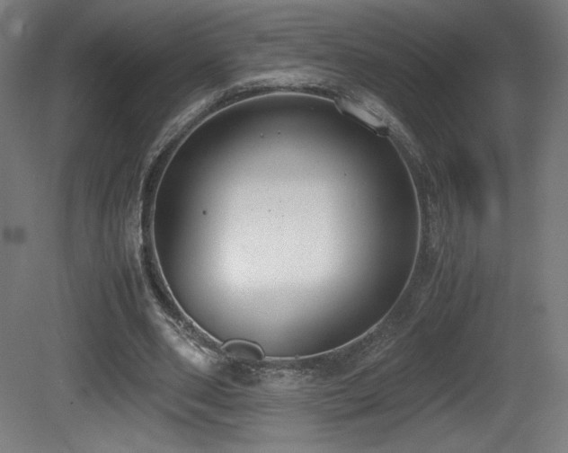 X0000081370486200701111552