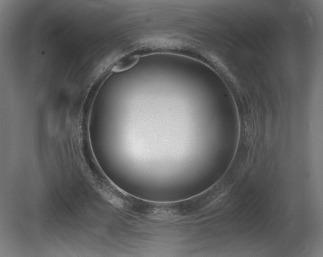 X0000081370487200701111552