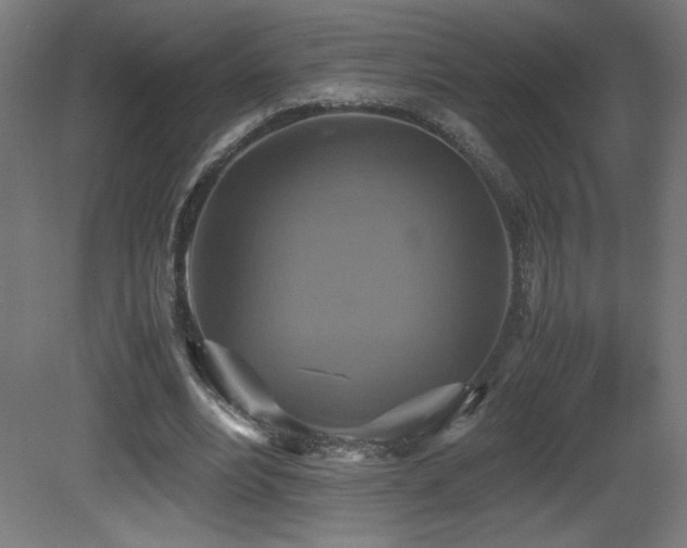 X0000081370488200701111552