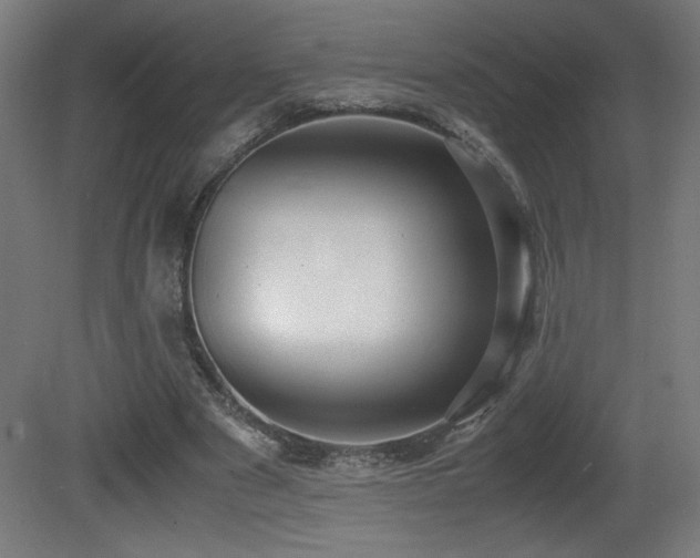 X0000081370489200701111552