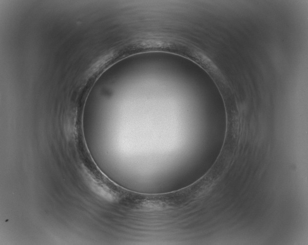 X0000081370490200701111552