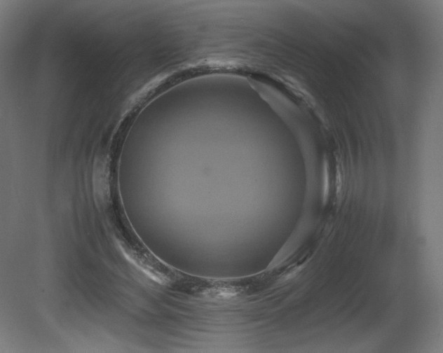 X0000081370492200701111552