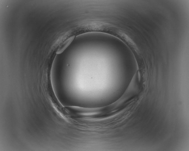 X0000081370493200701111552