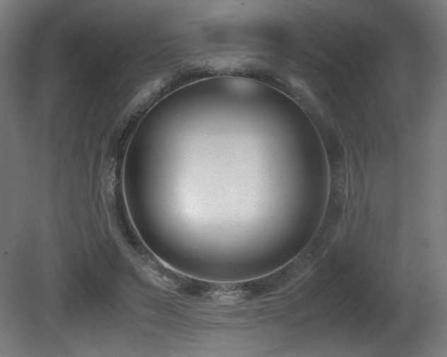 X0000081370495200701111551